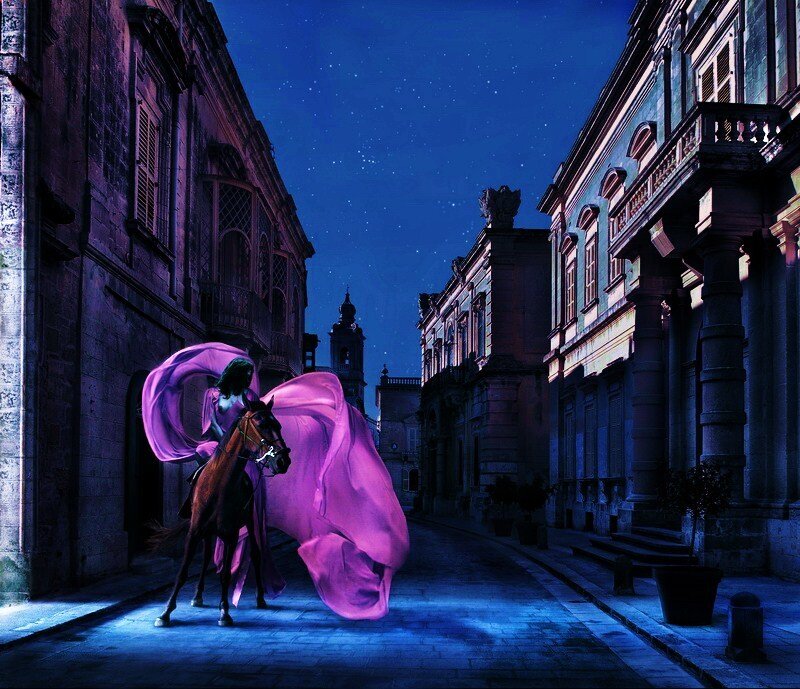 Knight on a horse at night