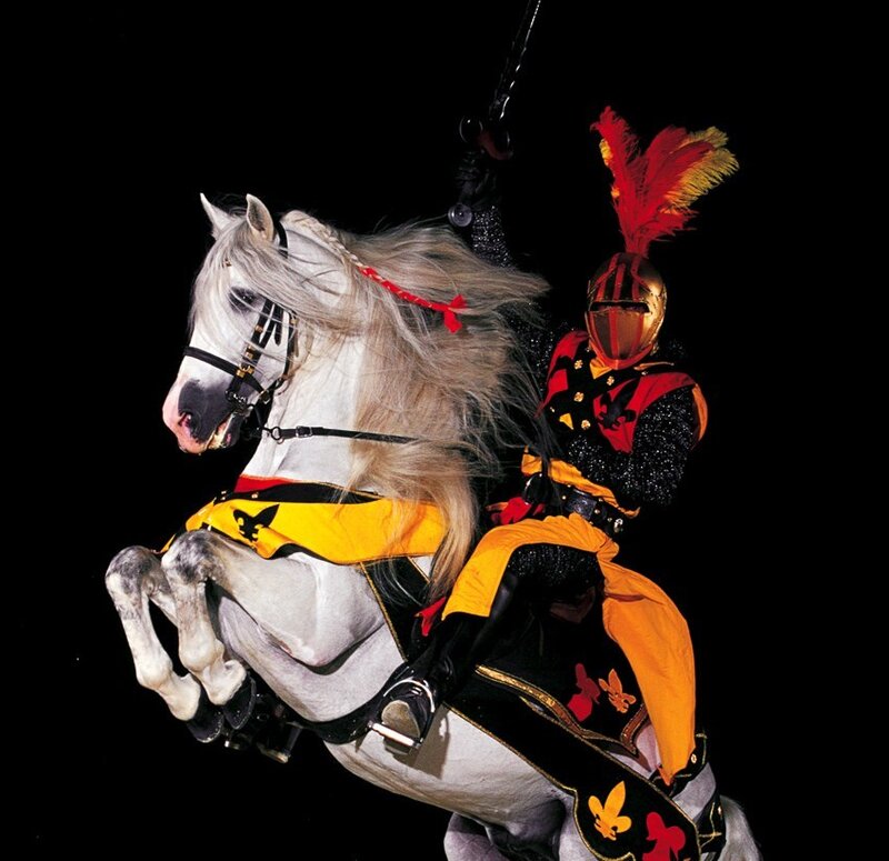 Knight on a rearing horse