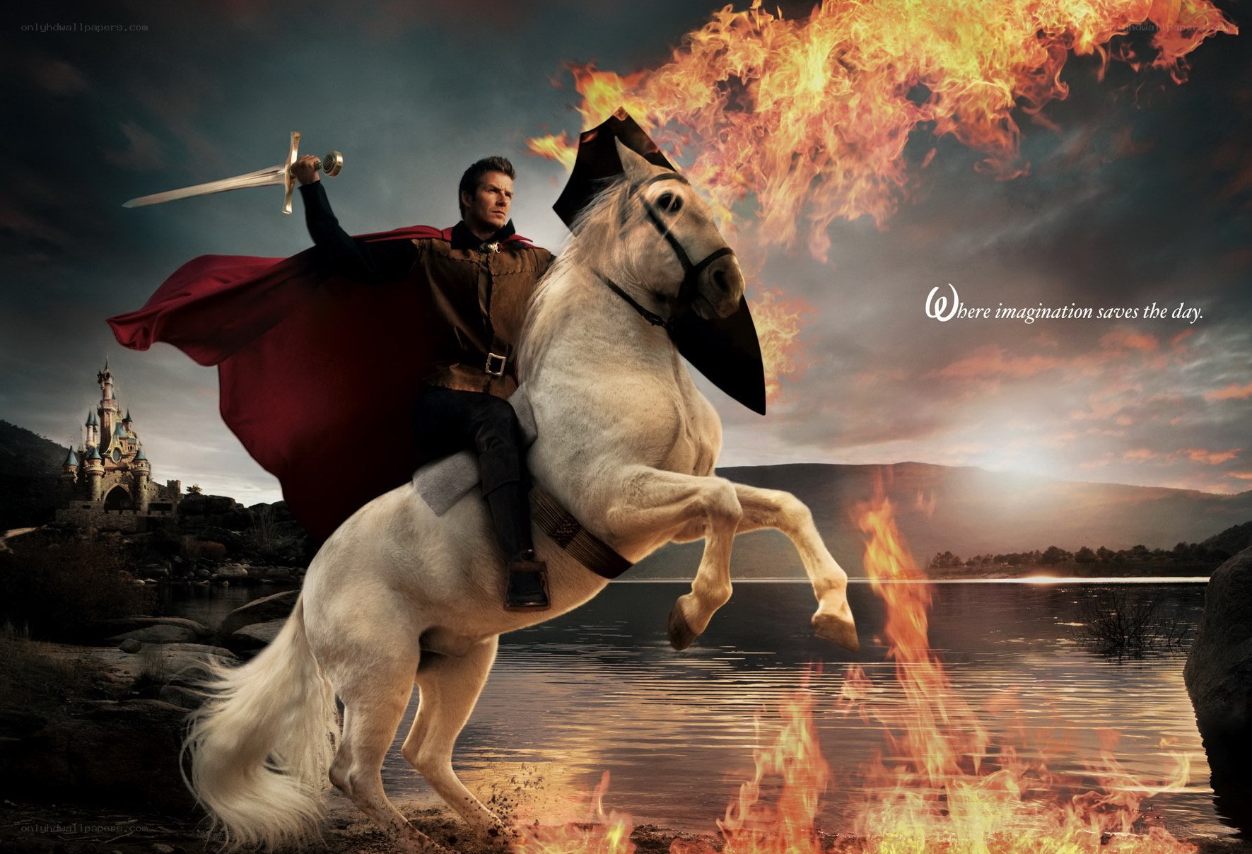 Knight on a white horse