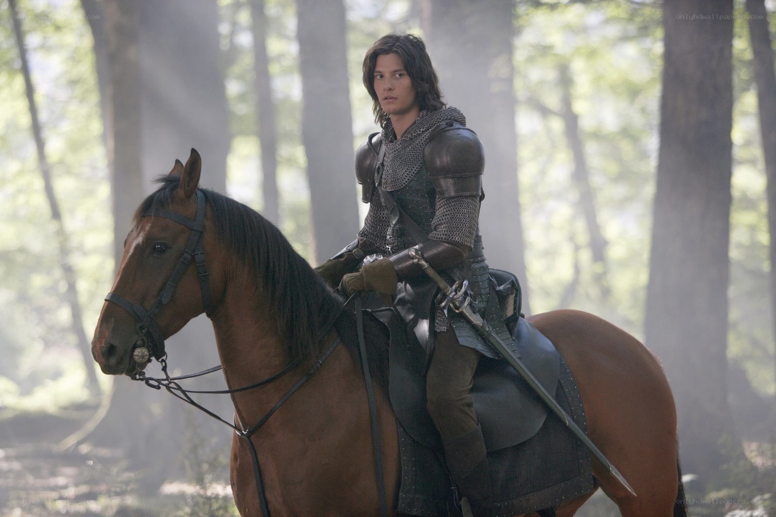 knight on horseback in forest