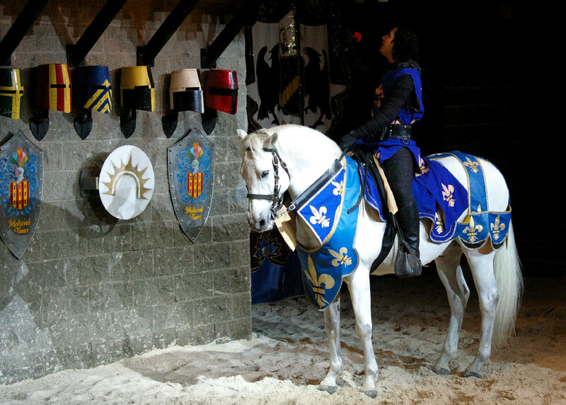 Knight on White Horse — Dramatic, Night