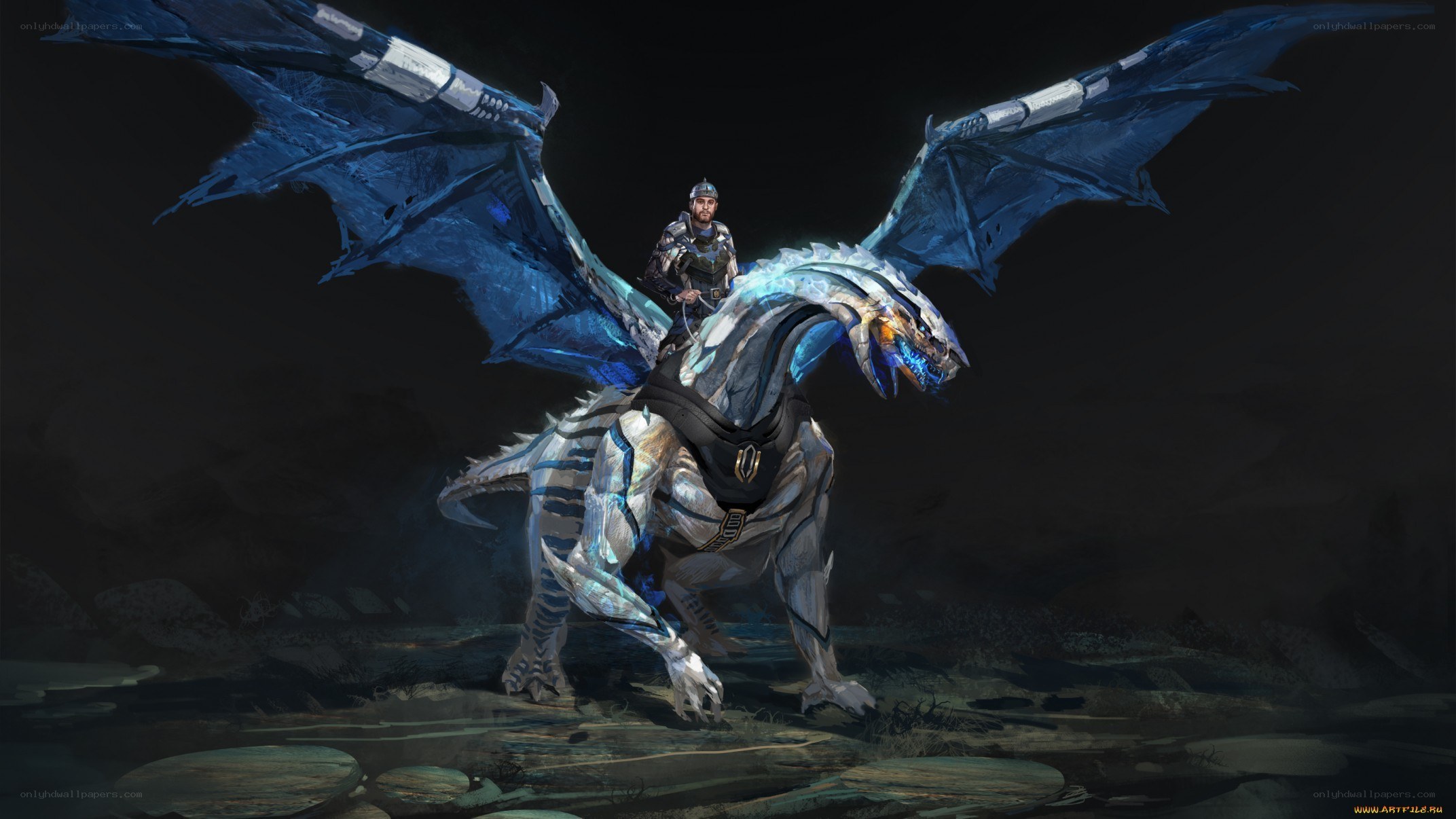 Knight riding a blue dragon