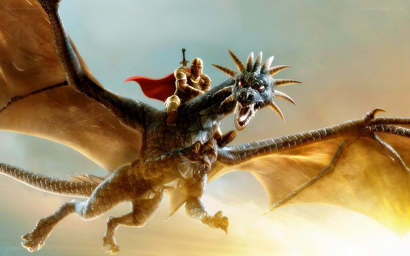 Knight riding a dragon