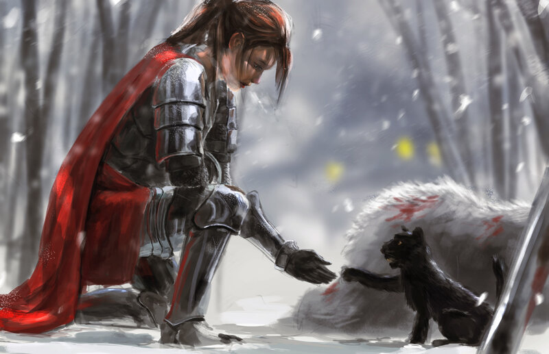 Knight with Black Cat