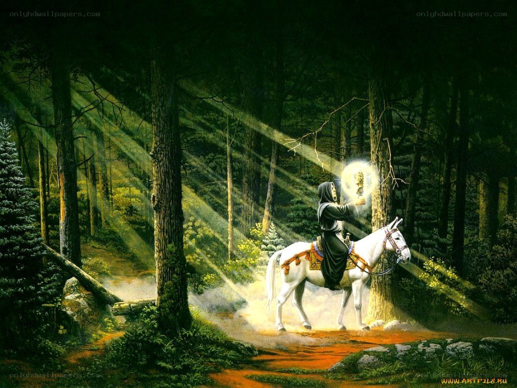 Knight with glowing orb in forest