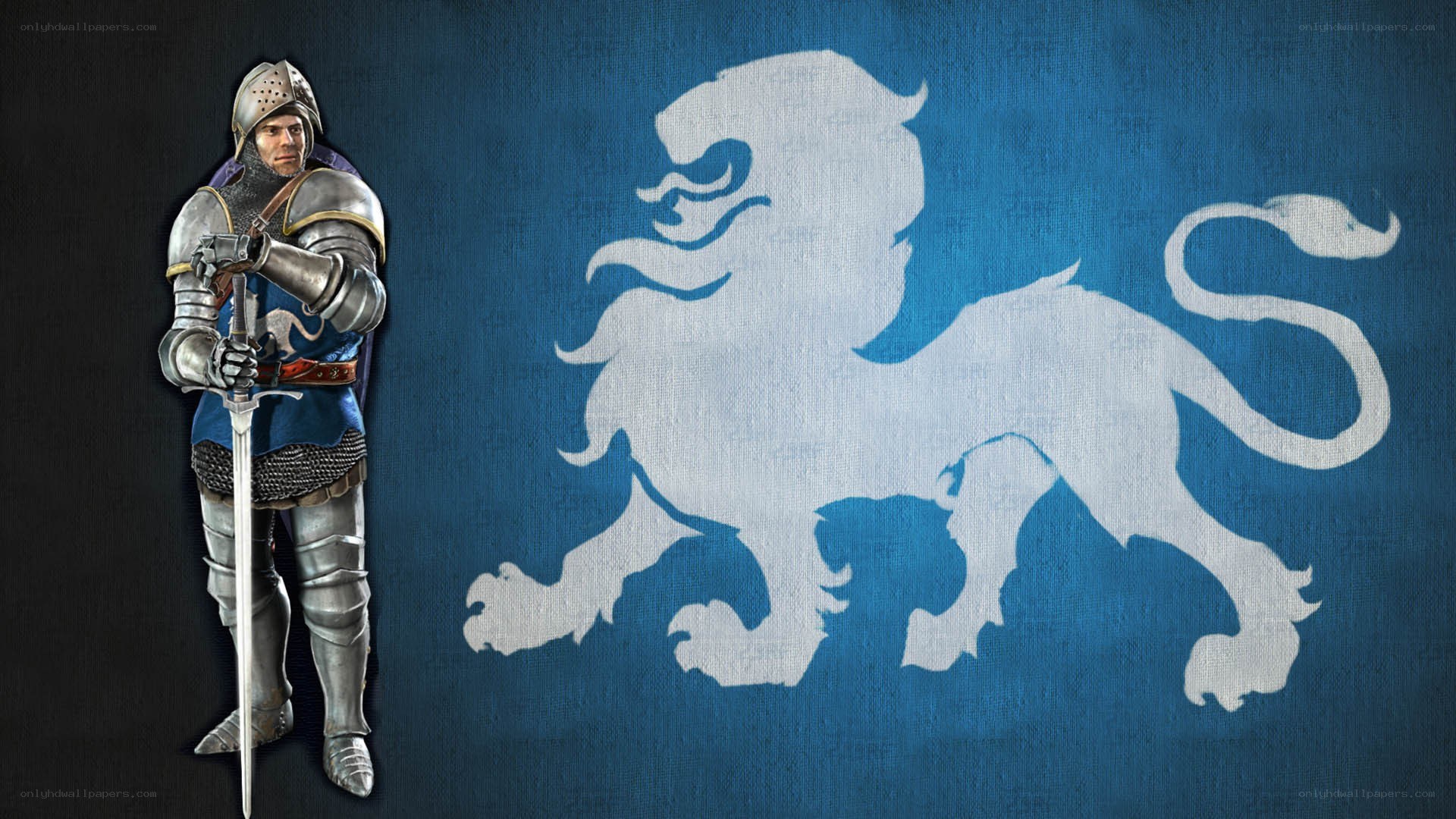 Knight with lion emblem
