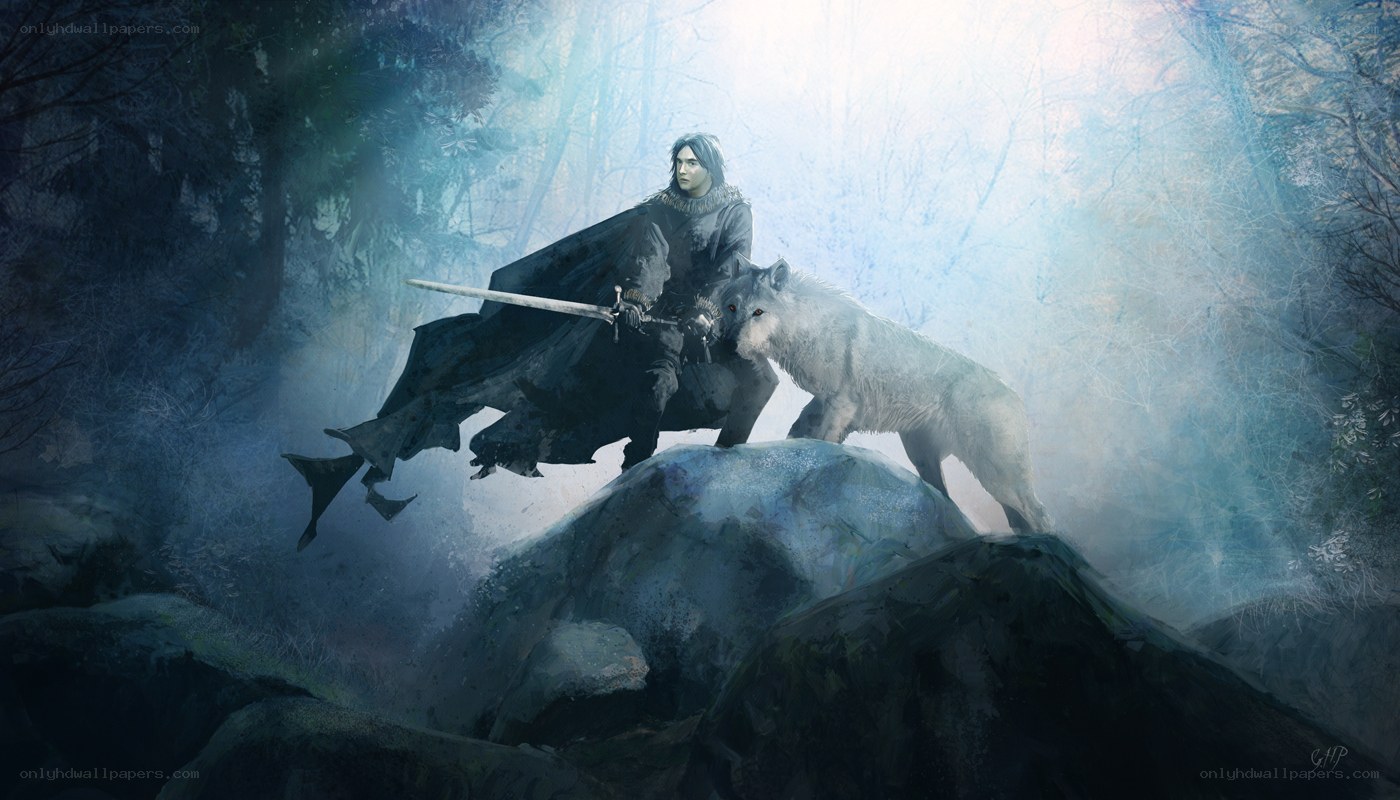 knight with wolf in misty forest