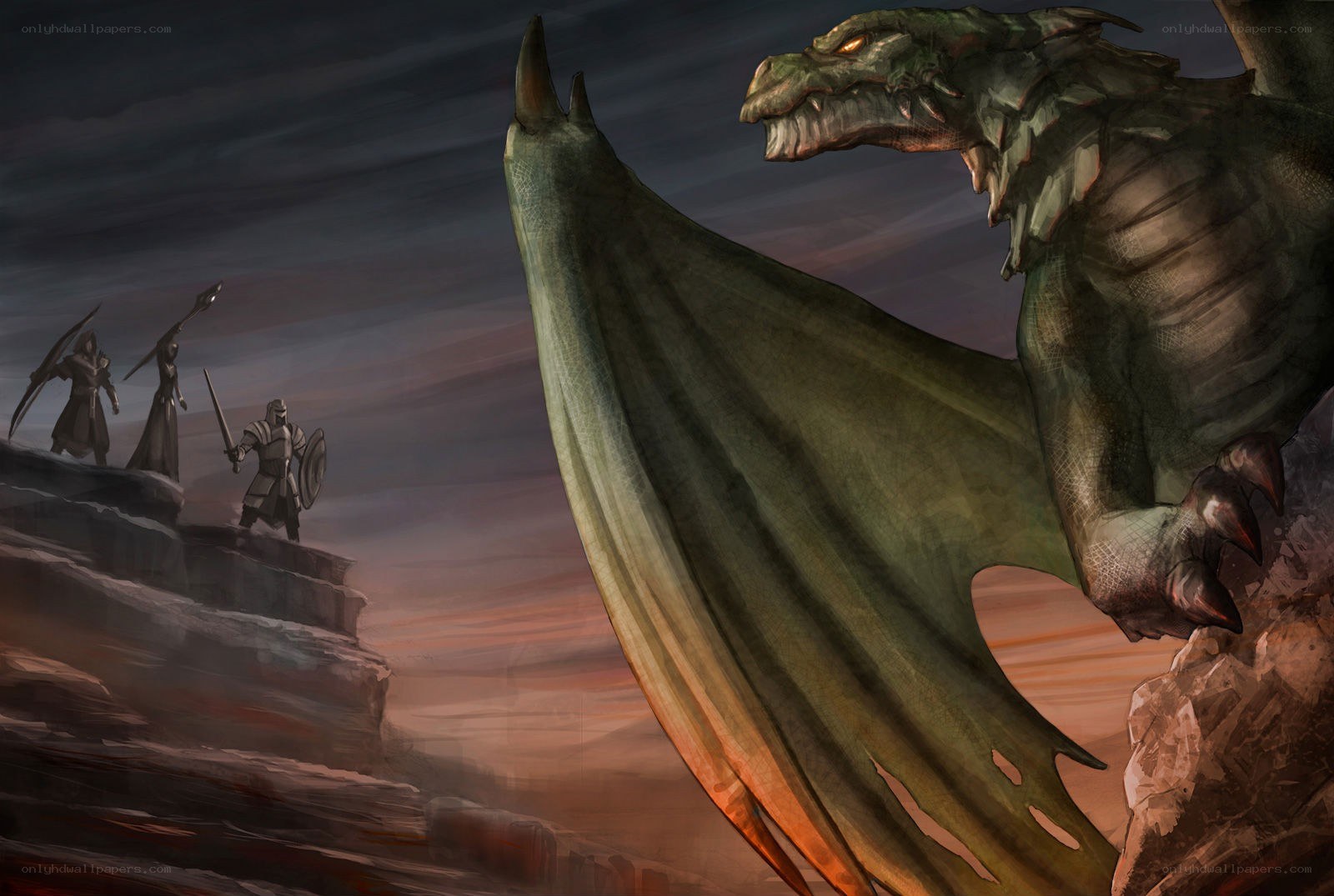 Knights facing a dragon