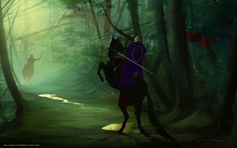 Knights in a misty forest