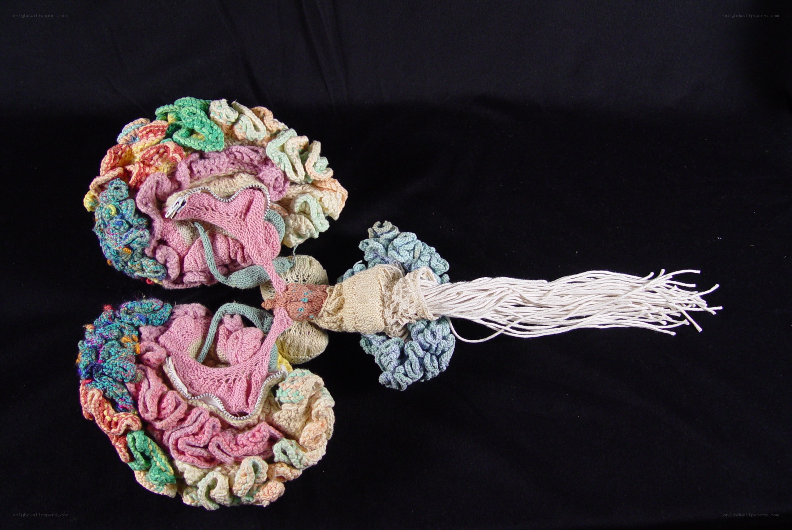 Knitted brain model