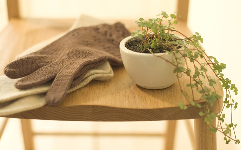 Knitted Gloves and Plant