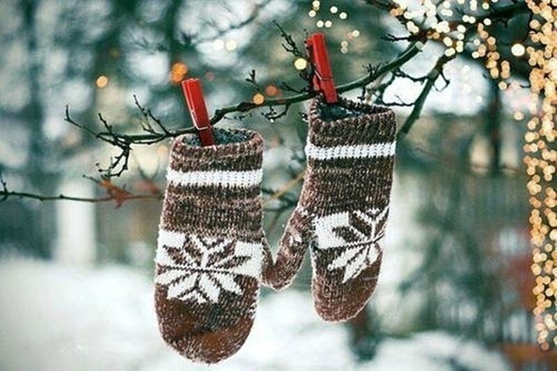 Knitted Mittens on Branch