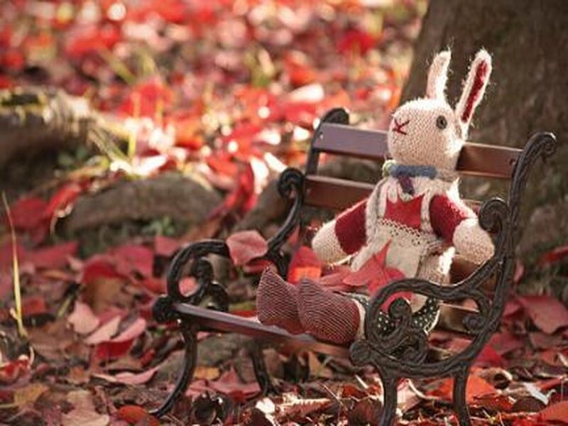 Knitted Rabbit on Bench