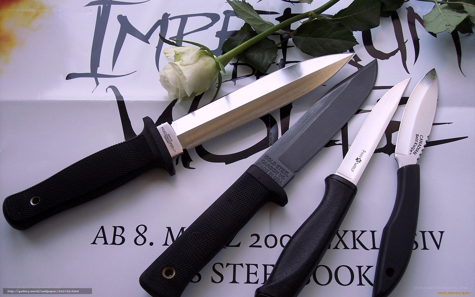 Knives and a white rose
