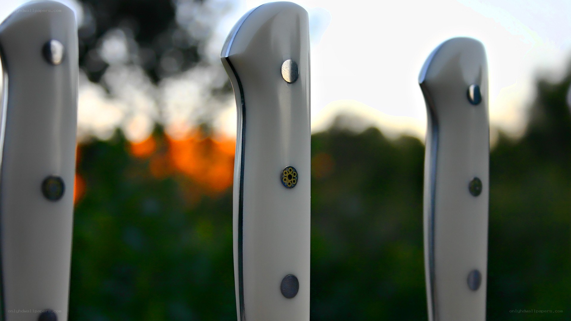knives in a garden