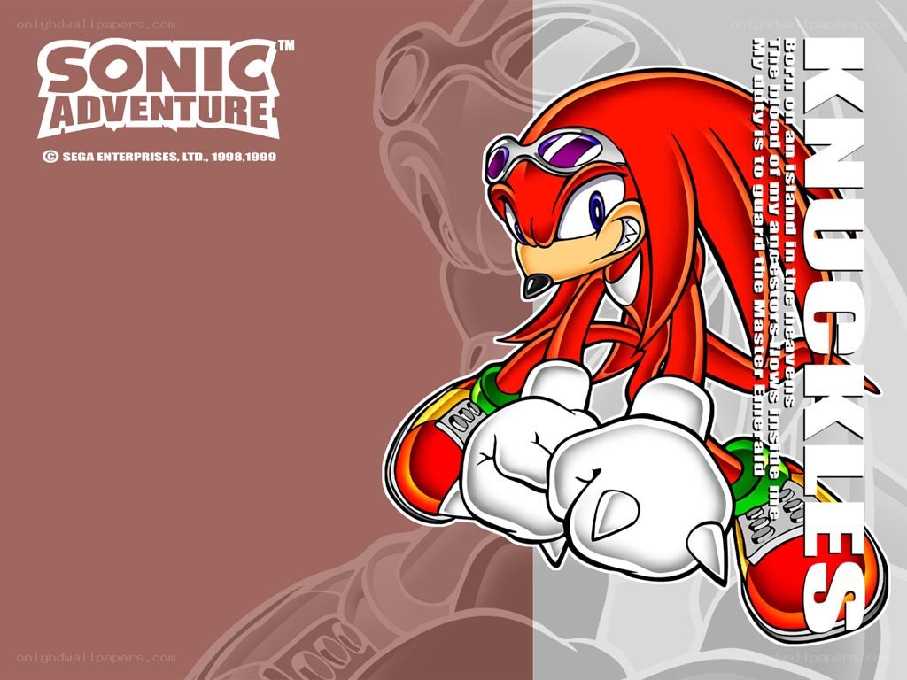 Knuckles from Sonic Adventure