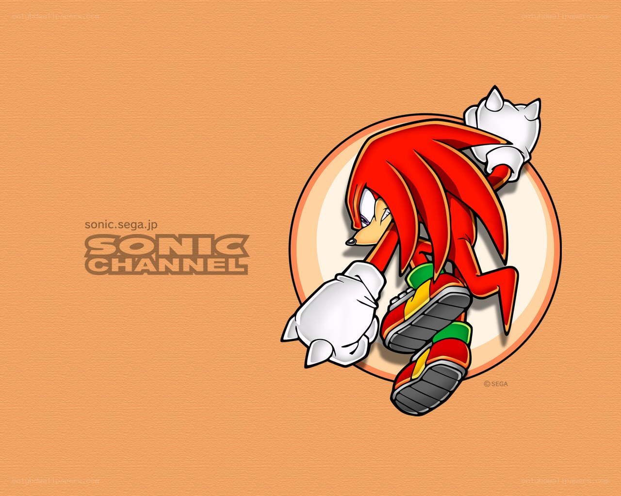 Knuckles the Echidna wallpaper