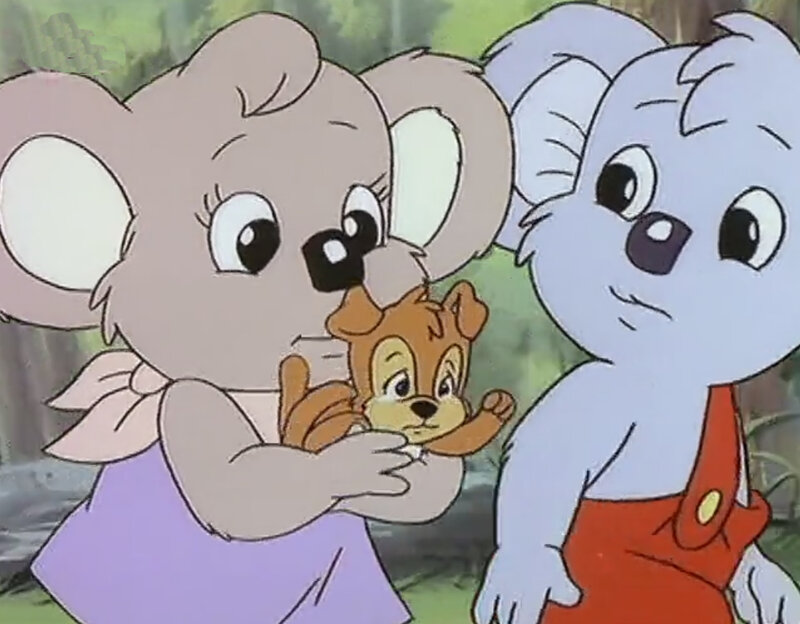 Koala and Squirrel Characters