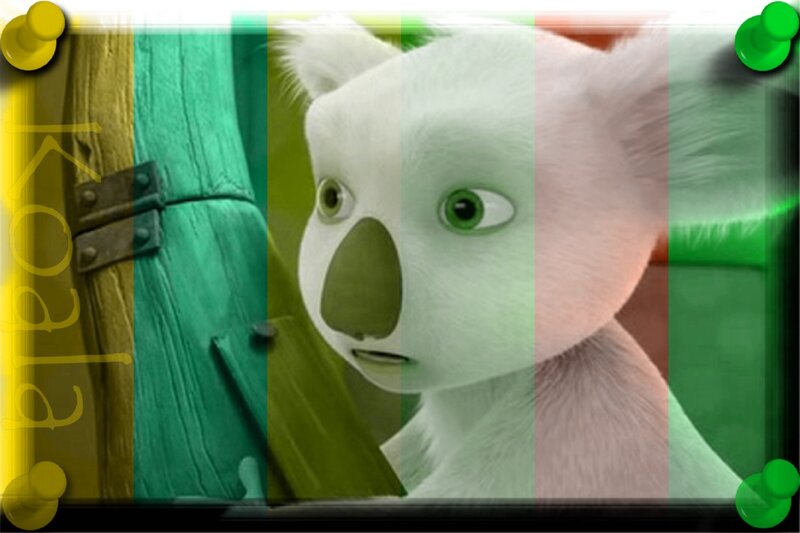 Koala Character