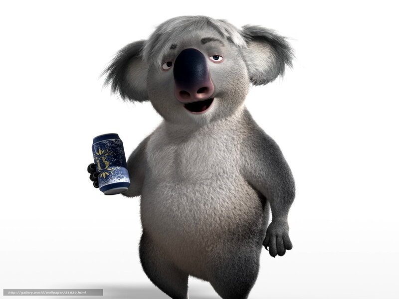 koala holding a can