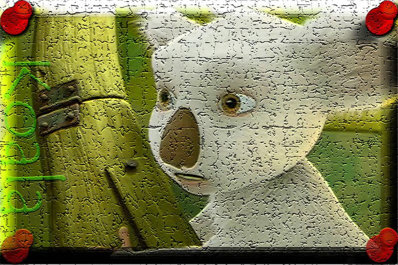 Koala in a Box