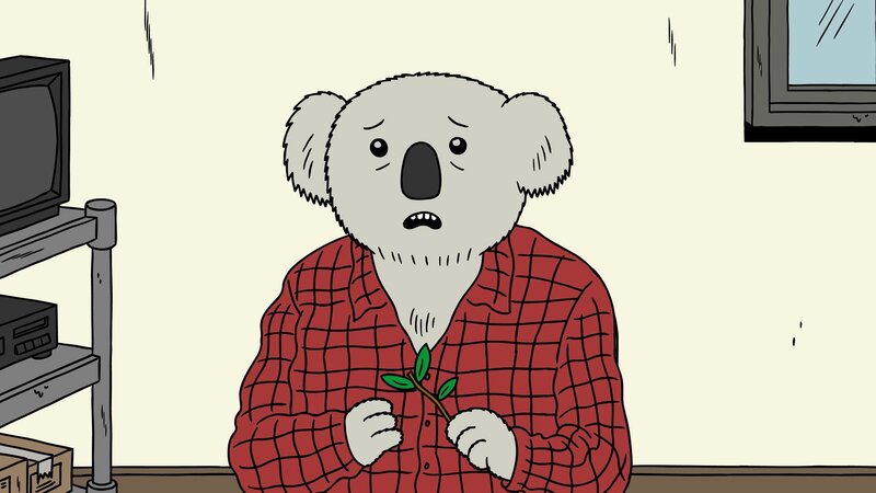 Koala in Red Shirt
