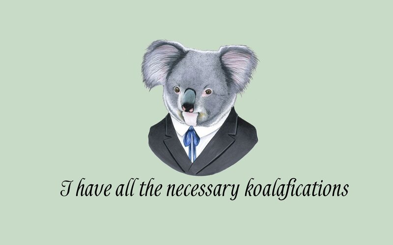 Koala in Suit
