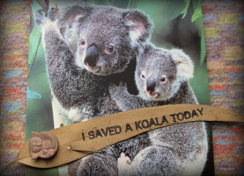 Koala Mother and Baby — Gray, Calm, Photograph