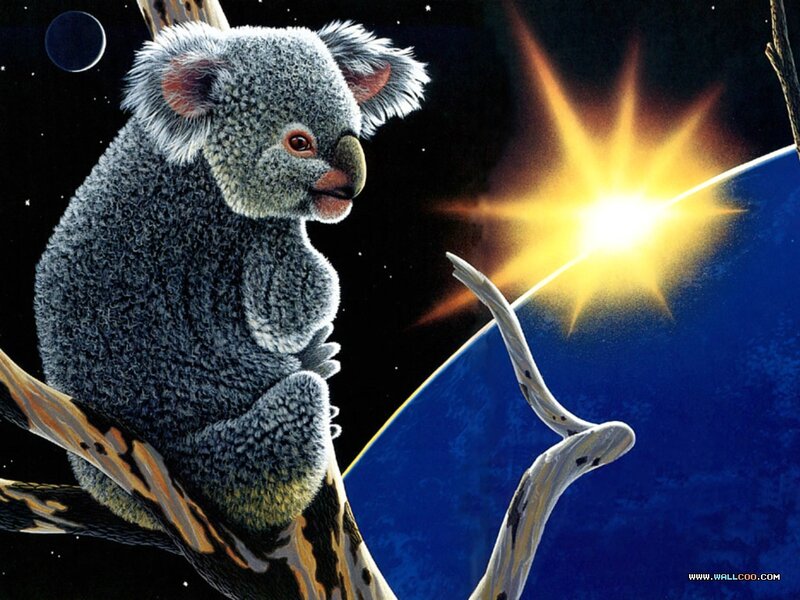 Koala on a Branch — Blue