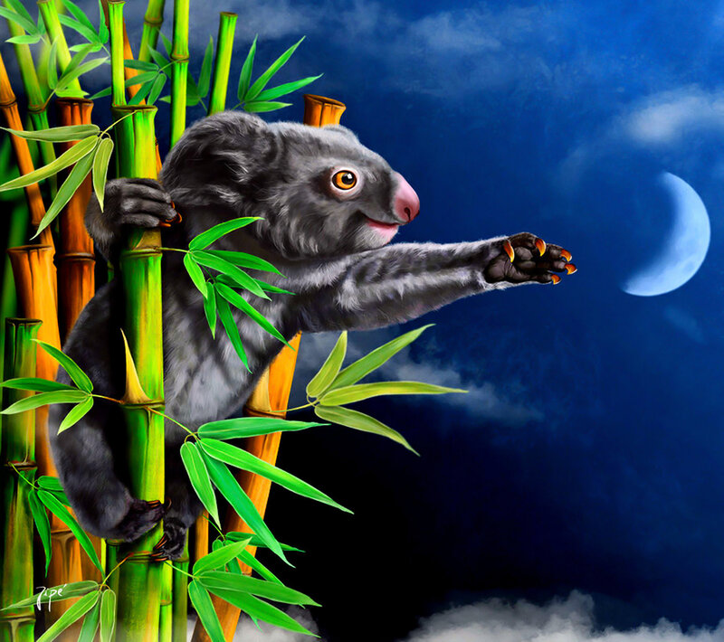 Koala on Bamboo