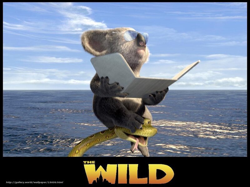Koala reading on snake