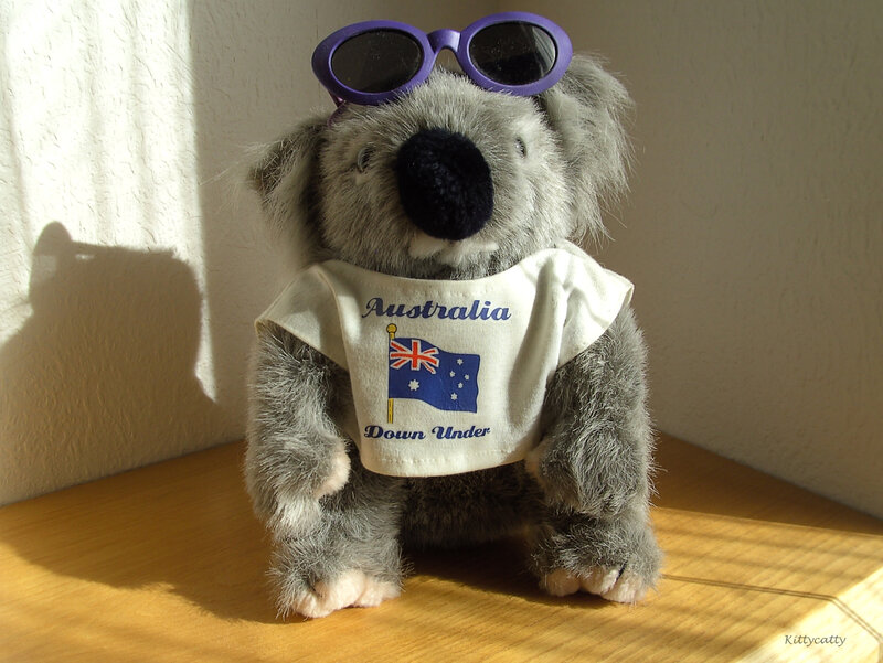 Koala Stuffed Animal