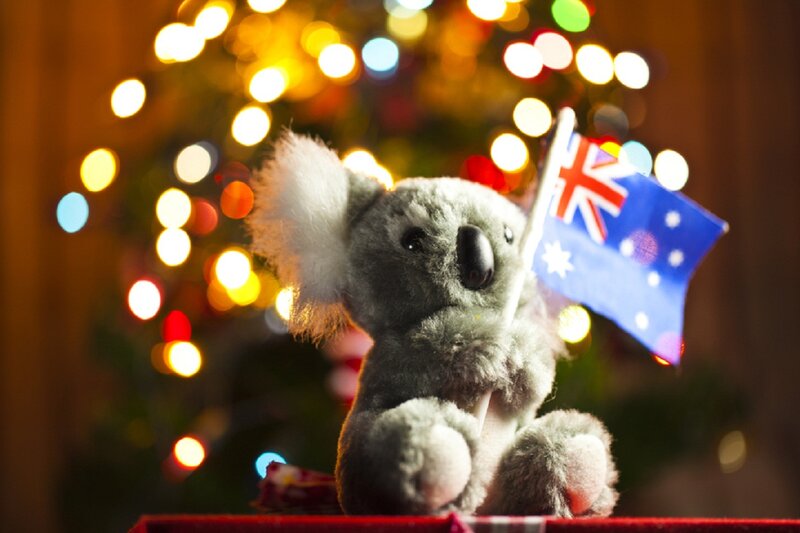 Koala Stuffed Toy