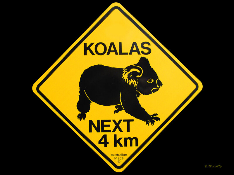 Koala Warning Sign