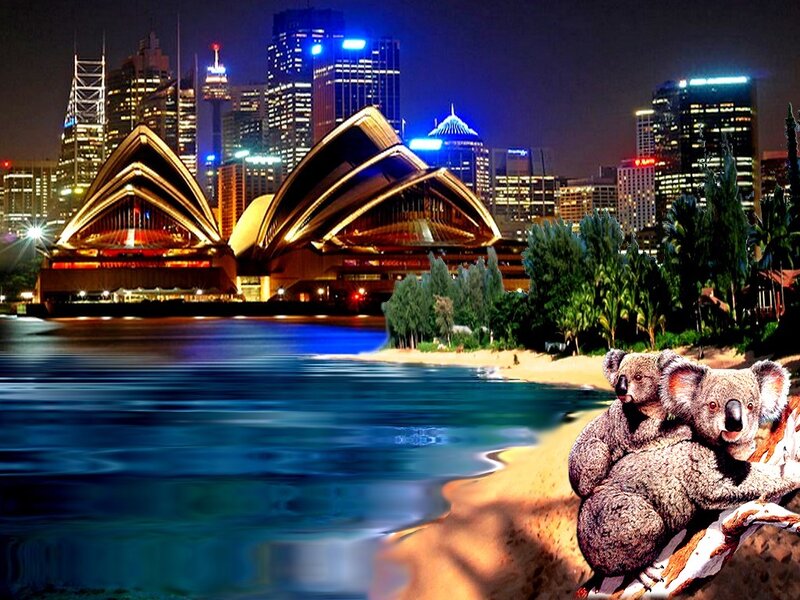 Koalas on a Beach