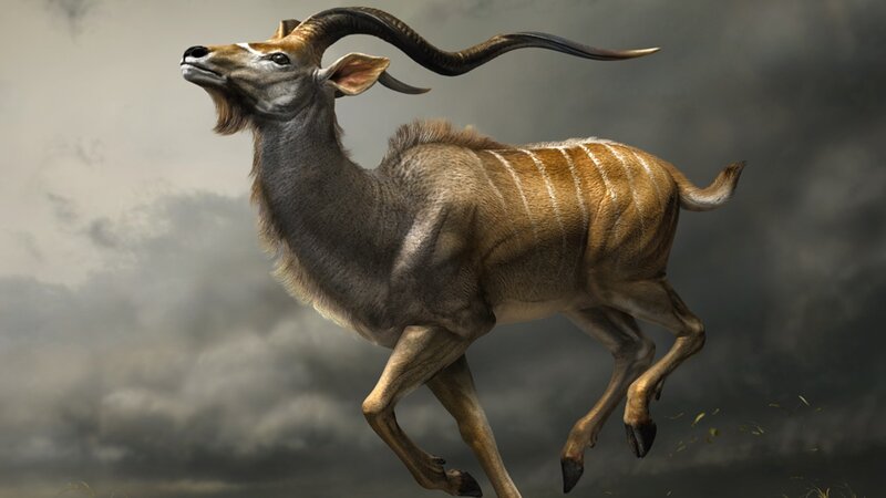 Kobus Antelope Running — Brown, Dramatic, Digital Art