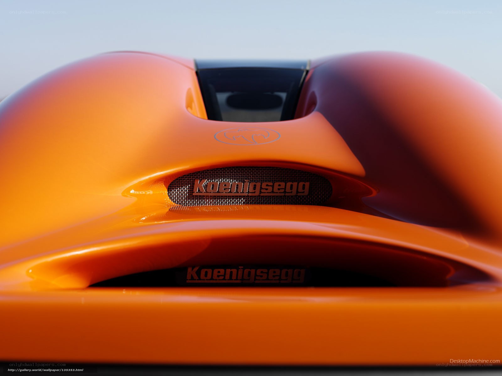 Koenigsegg car rear view