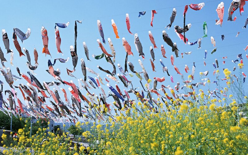 Koi Carp Streamers