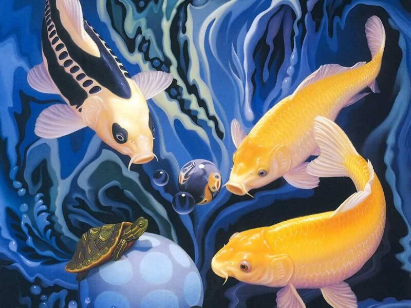 Koi fish and turtle in blue water