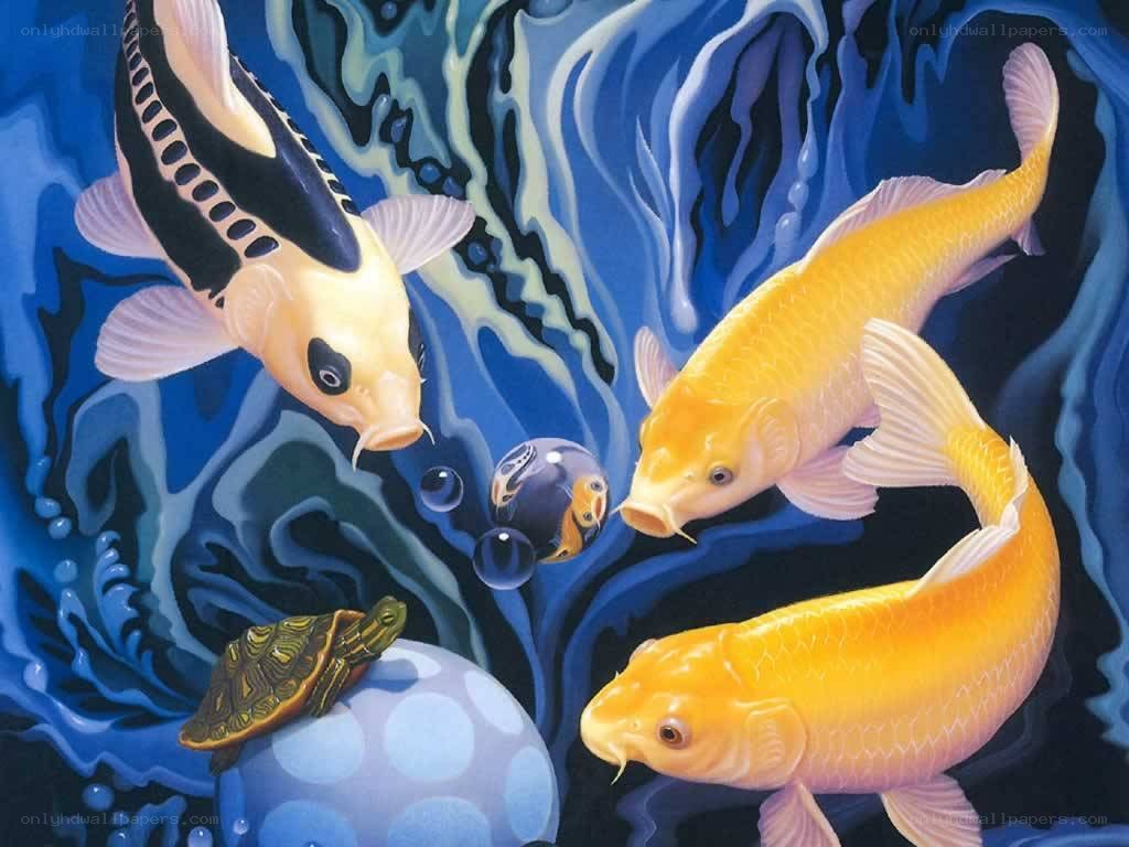 Koi fish and turtle in blue water