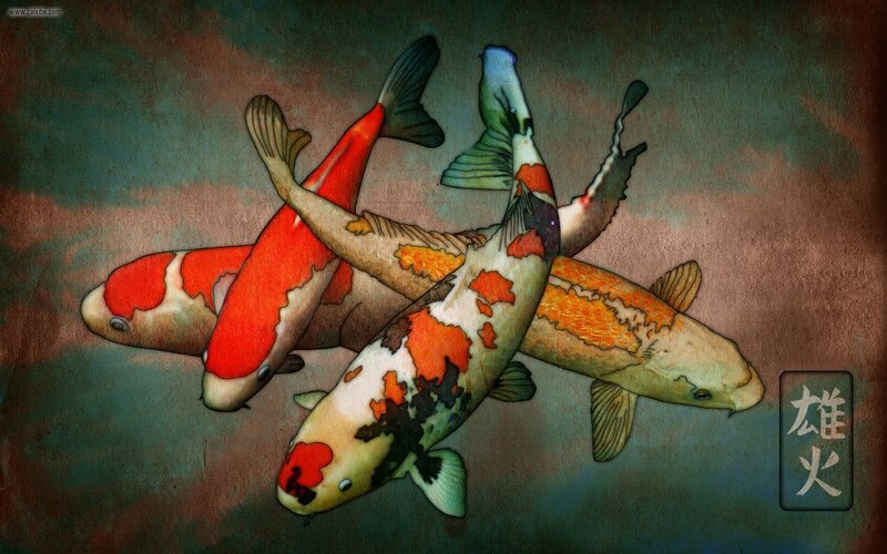 Koi fish art with Japanese characters