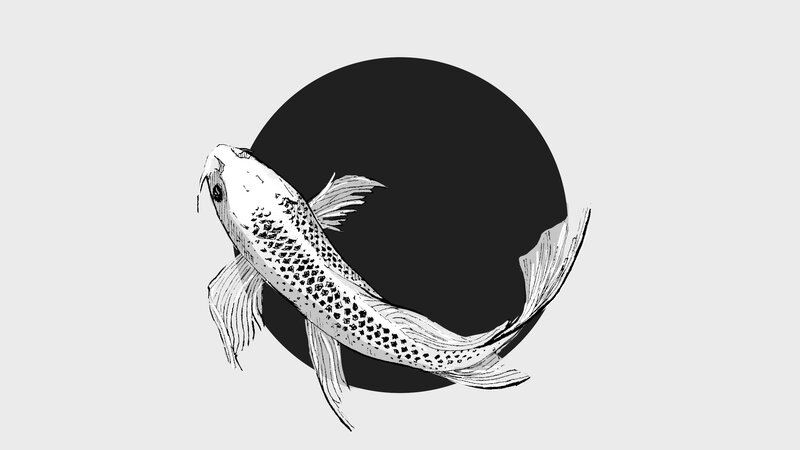 Koi Fish Illustration — Black