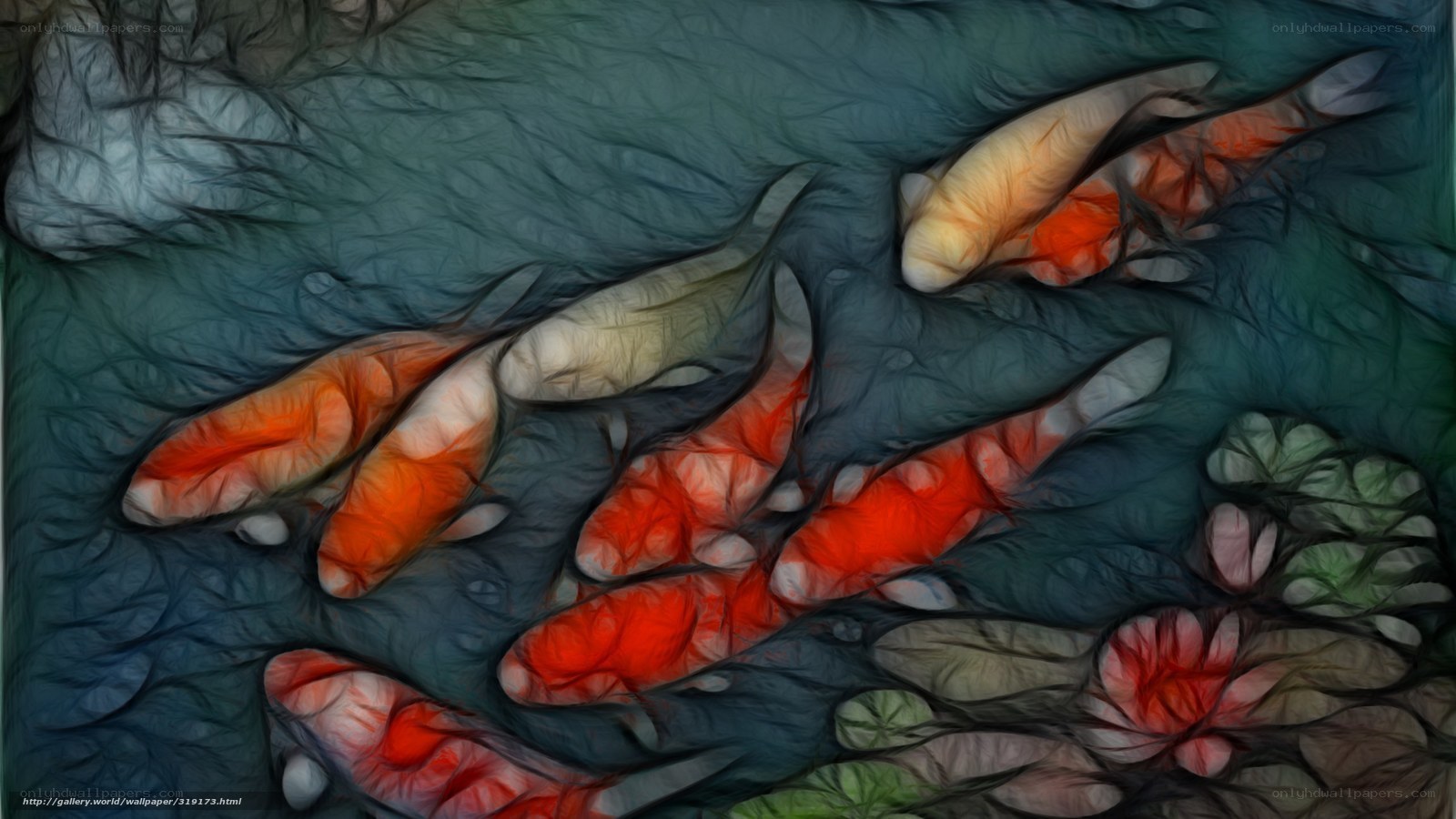Koi fish in flowing water
