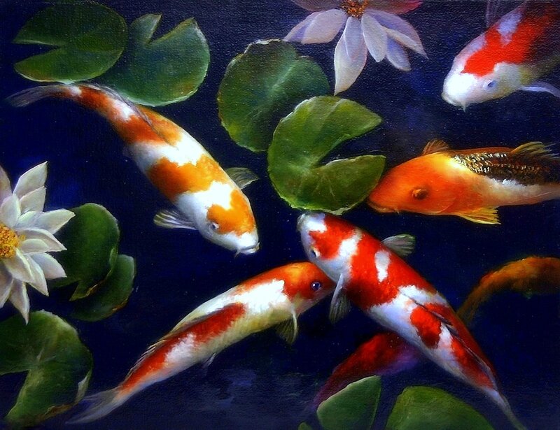Koi Fish in Pond — Blue, Serene, Painting, Lotus Flowers