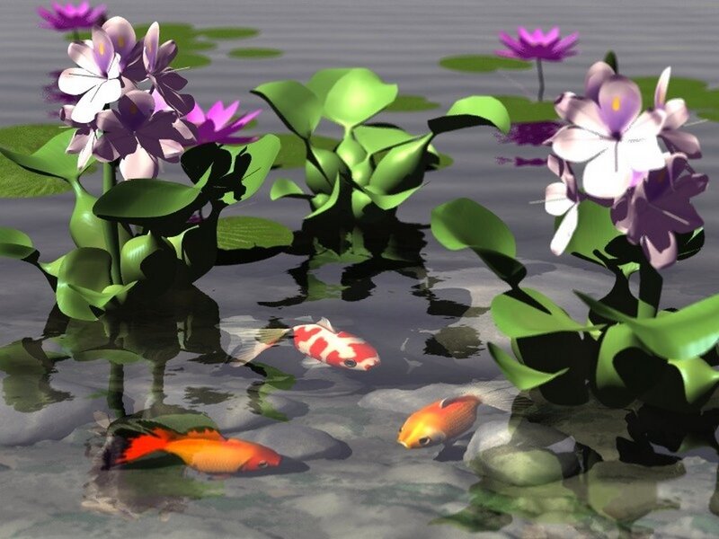 Koi Fish in Pond — Green, Serene, 3d Render