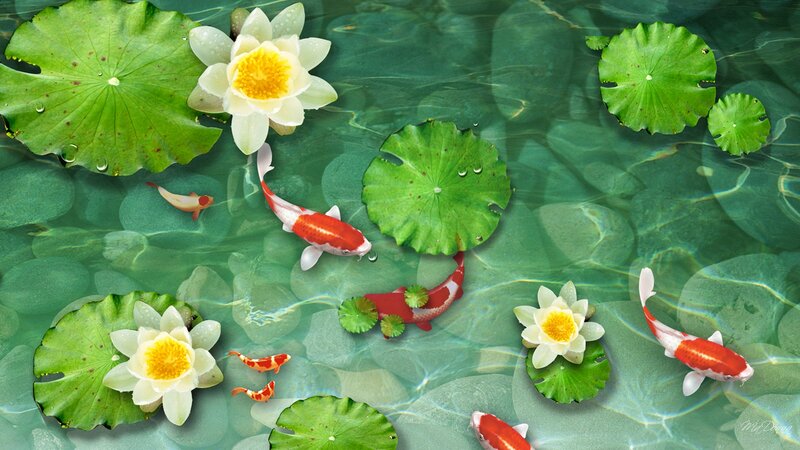 Koi Fish in Pond — Green, Serene, Digital Art
