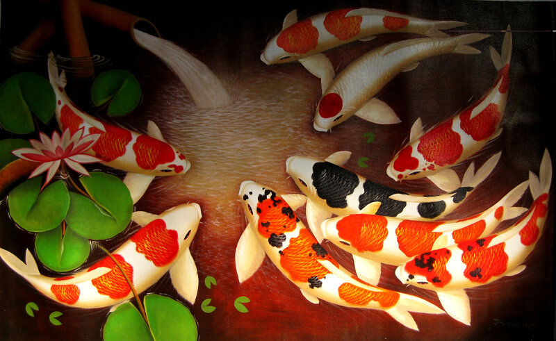 Koi Fish in Pond — White, Serene