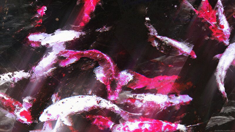 Koi Fish in Water — Black