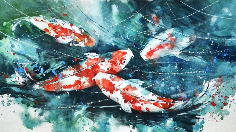 Koi Fish in Water — Red, Dynamic
