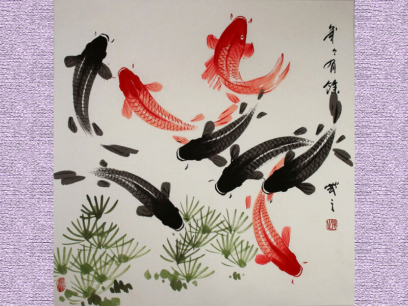 Koi Fish in Water — Red, Serene